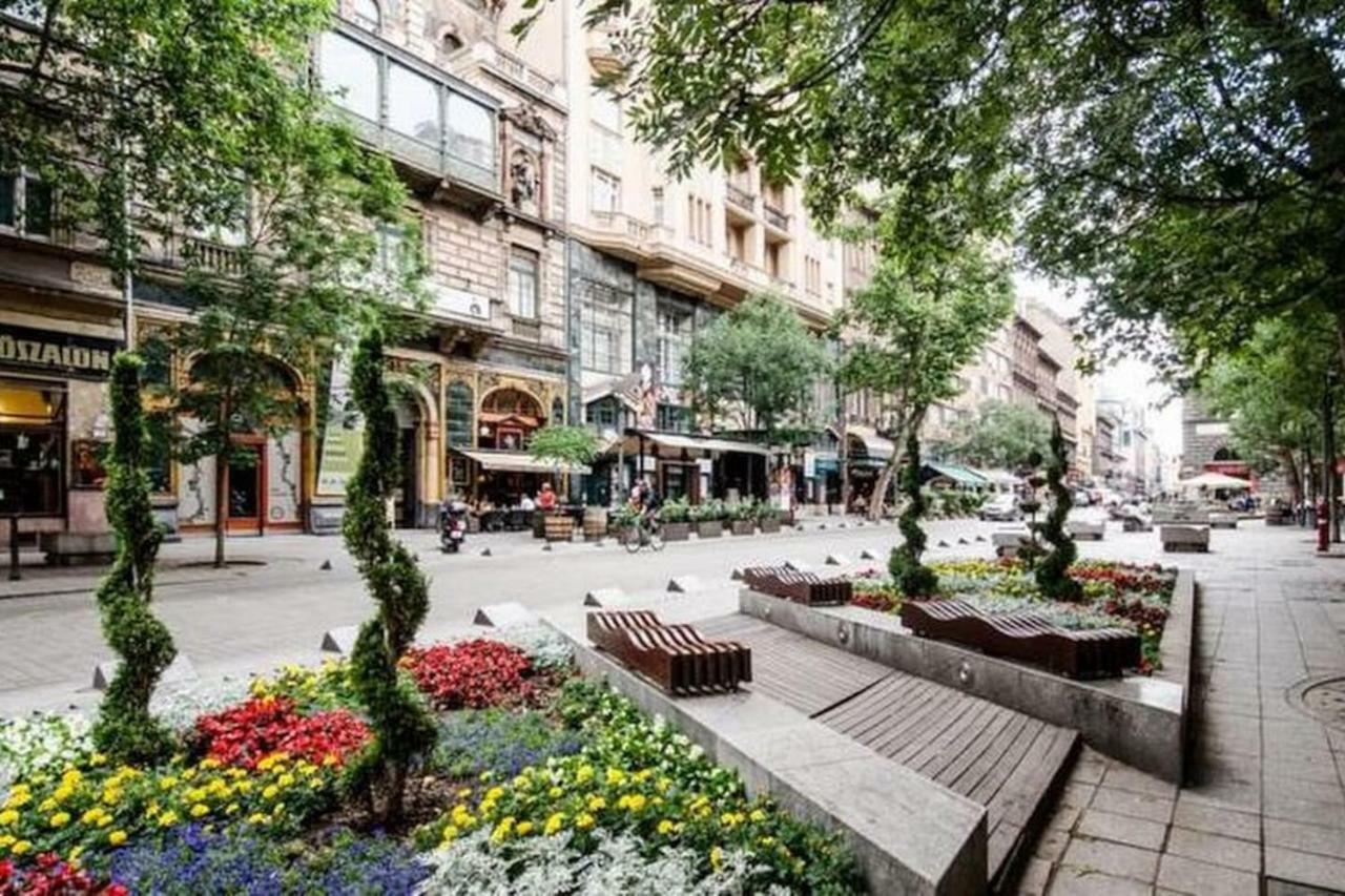Apartamento Cozy Downtown